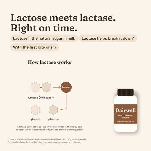 How lactase helps break down lactose, the natural sugar in milk